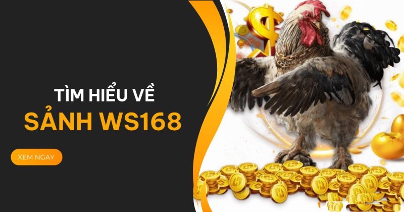 Điểm qua các ưu điểm về sảnh chơi đá gà WS168 77win