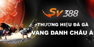 Sảnh sv388